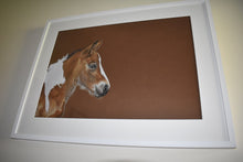 Load image into Gallery viewer, Bounty 1 - Original and Box Framed Prints