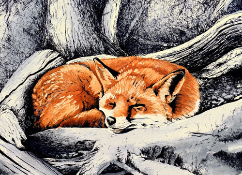 Fox Sleeping - Original