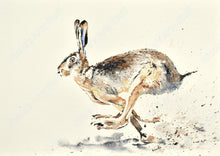 Load image into Gallery viewer, Racing Hare - Original
