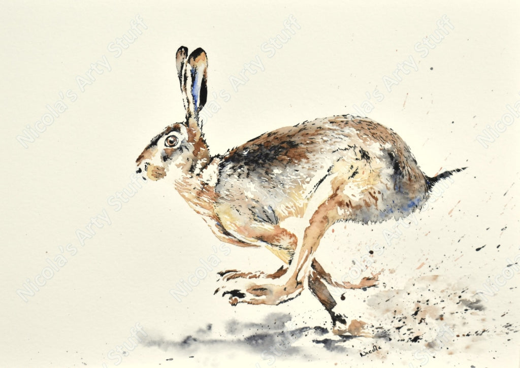 Racing Hare - Original