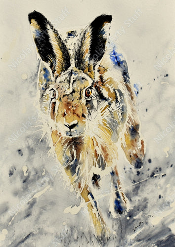 Right At You Hare - Original
