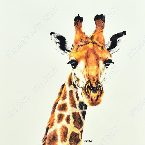 Giraffe 2 - Prints