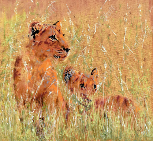 Lion Cubs - Original