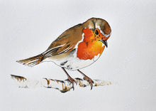 Load image into Gallery viewer, Simple Robin - Original
