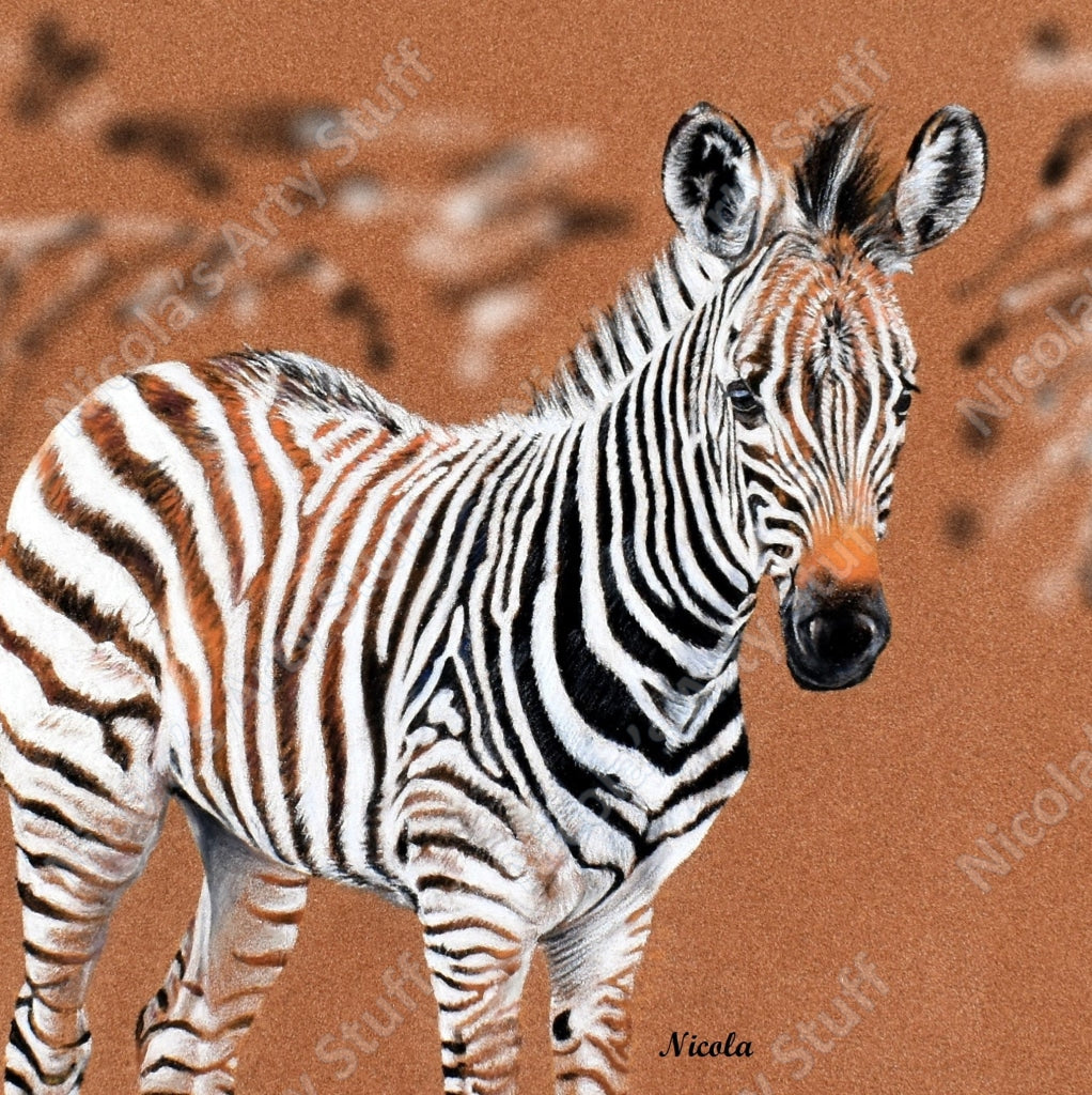 Zebra - Prints